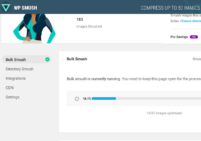 WordPress插件：WP Smush Pro v3.9.2 [已激活版] – 图片优化插件-1