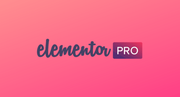 WordPress插件：Elementor Pro v3.5.2 + Elementor v3.5.1[已激活汉化版]-1