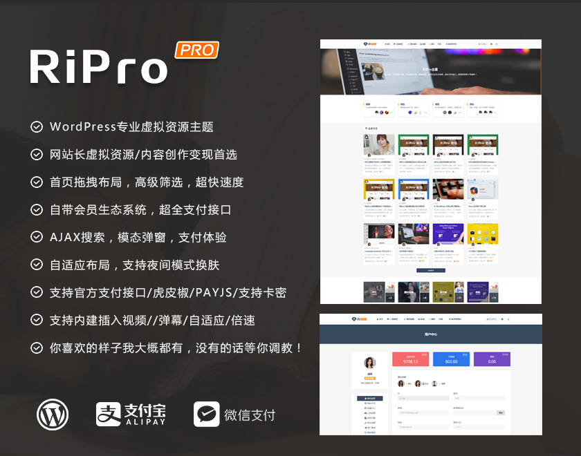 RiPro8.9-WordPress日主题修复明文免授权完整版-1