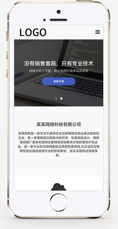 SEO优化网络建站公司网站源码 pbootcms网站建设网络科技类模板(自适应手机端)-2