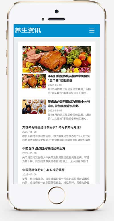 HTML5响应式百度MIP三合一养生资讯文章新闻博客类网站模板(自适应手机端)-2