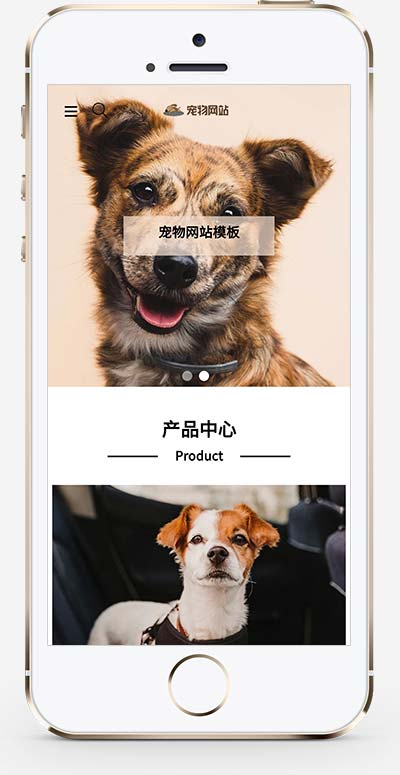 宠物商店宠物装备类宠物网站模板(自适应手机端)-2