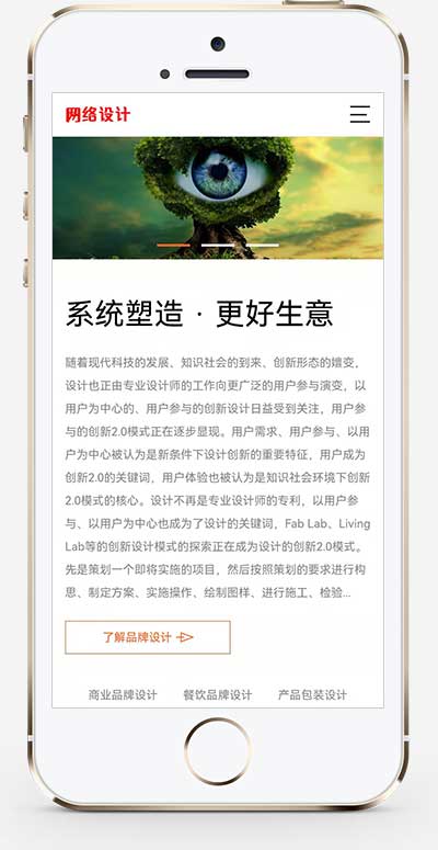 品牌策划设计公司网络设计公司网站模板(自适应手机端)-2