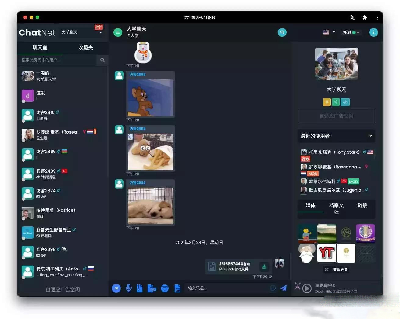 ChatNet多用户在线聊天室2024版源码免授权版-1