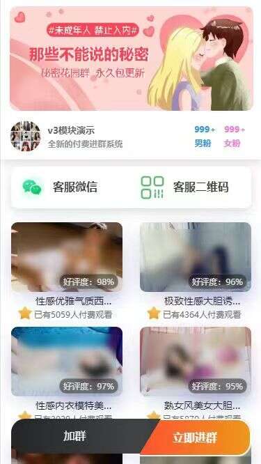 Wordpress主题最新付费进群v3系统非市面上泛滥版本-1