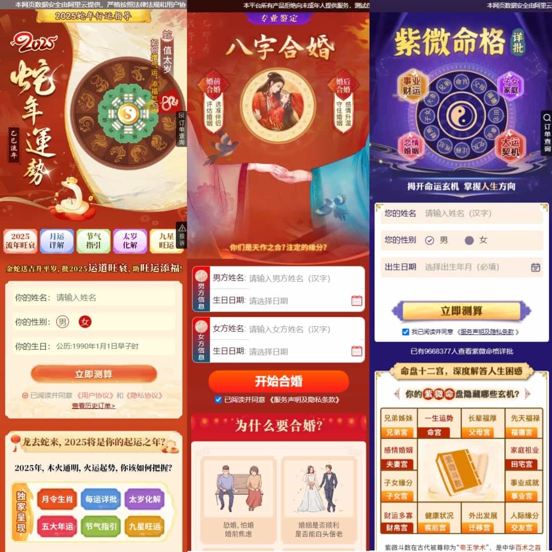 2025新版蛇年测算系统八字测算，八字精批，生辰详批，一生财运，紫薇斗数，八字合婚，生肖运势源码-2
