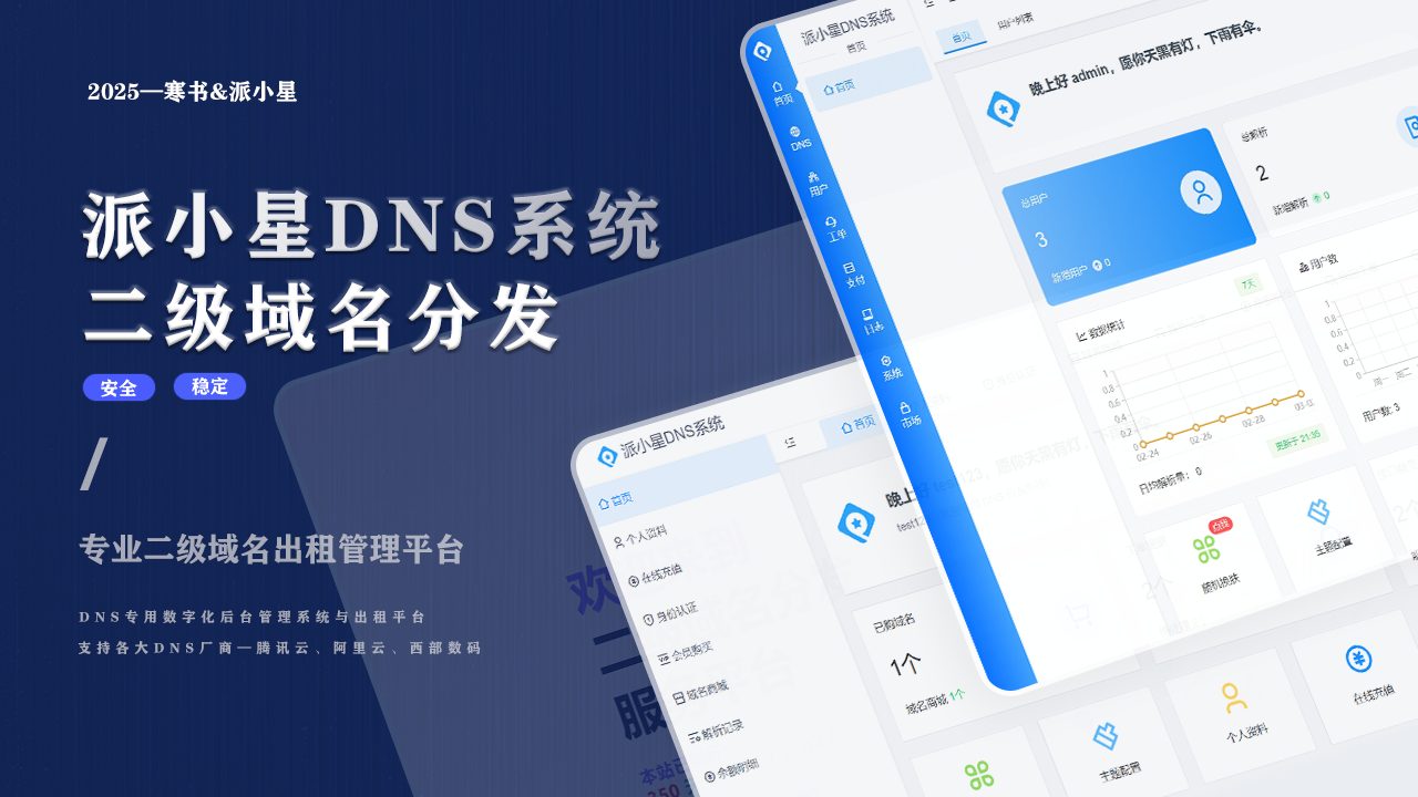 2025派小星DNS二级域名分发系统-1