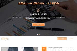 专业财务会计代理记账公司 财税政策咨询公司模板