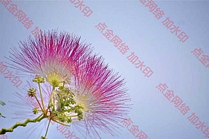 html代码在线图片加水印基于浏览器本地API源码