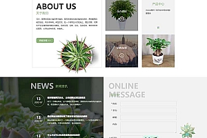 响应式绿植花卉盆栽办公室盆栽租赁网站模板(自适应手机端)