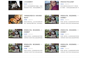 响应式宠物资讯类宠物博客经验网站模板(自适应手机端)