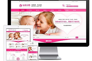 家政月嫂保姆服务家政服务类企业网站模板(自适应手机端)