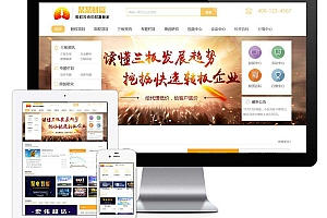 股权投资财富管理金融行业类企业网站模板(自适应移动端)