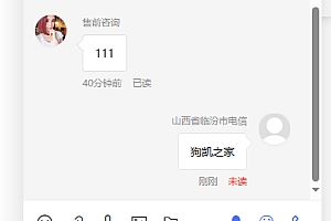 极品模板在线客服系统1.1.2源码