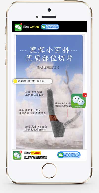 独立手机版营销推广落地页网站源码 落地页单页pbootcms模板-1