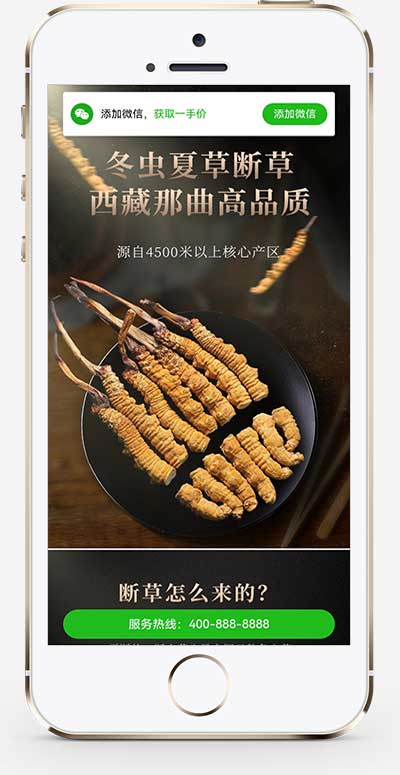 营销推广落地页pbootcms模板 落地页单页网站源码(独立手机版)-1