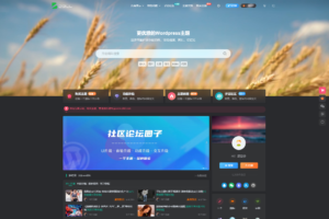 zibll主题